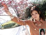 [G-AREA] Rei 精神 (100P) .5443